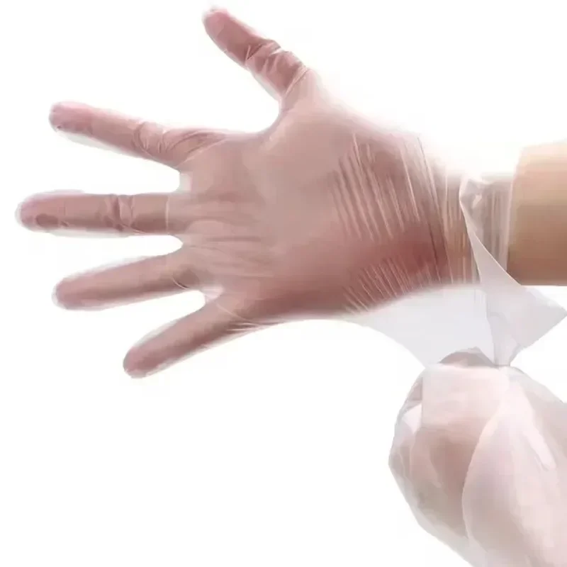 100/200 PCS เกรดอาหารถุงมือทิ้ - Latex Disposable Glove บทวิจารณ์และราคา